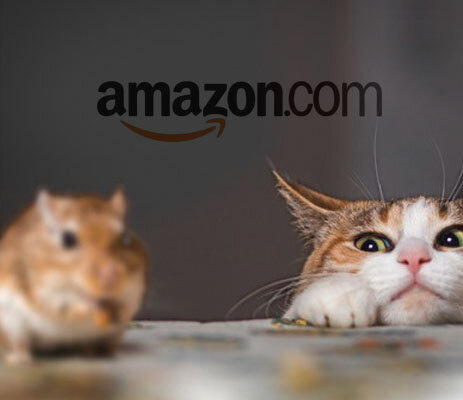 Image of Defending Your Business Against Amazon: 3 Questions You Need to Ask Yourself Right Now article