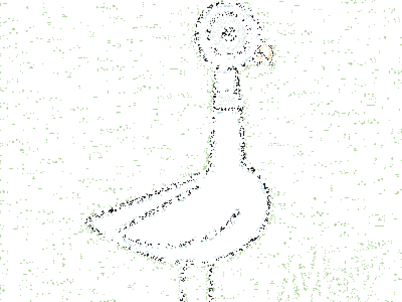 Don't Let the Pigeon Launch a Website