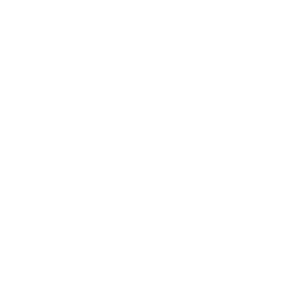 Cyber-NY