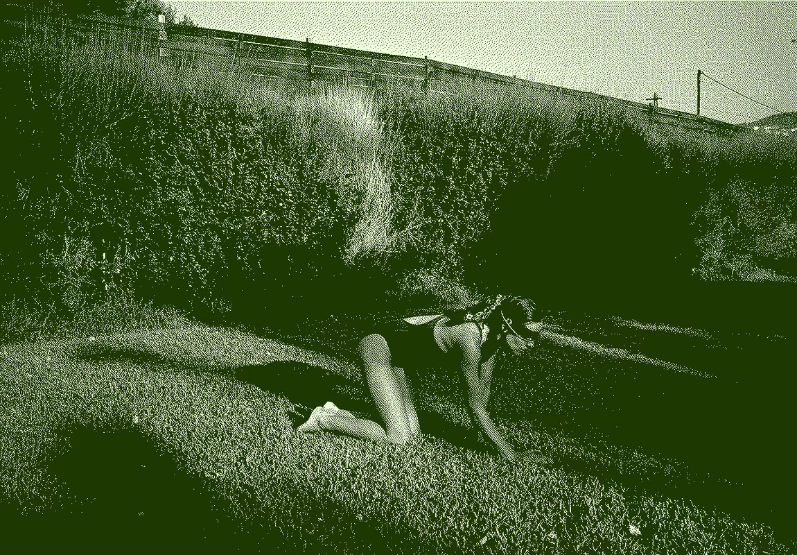 dither_it_dogtooth_3